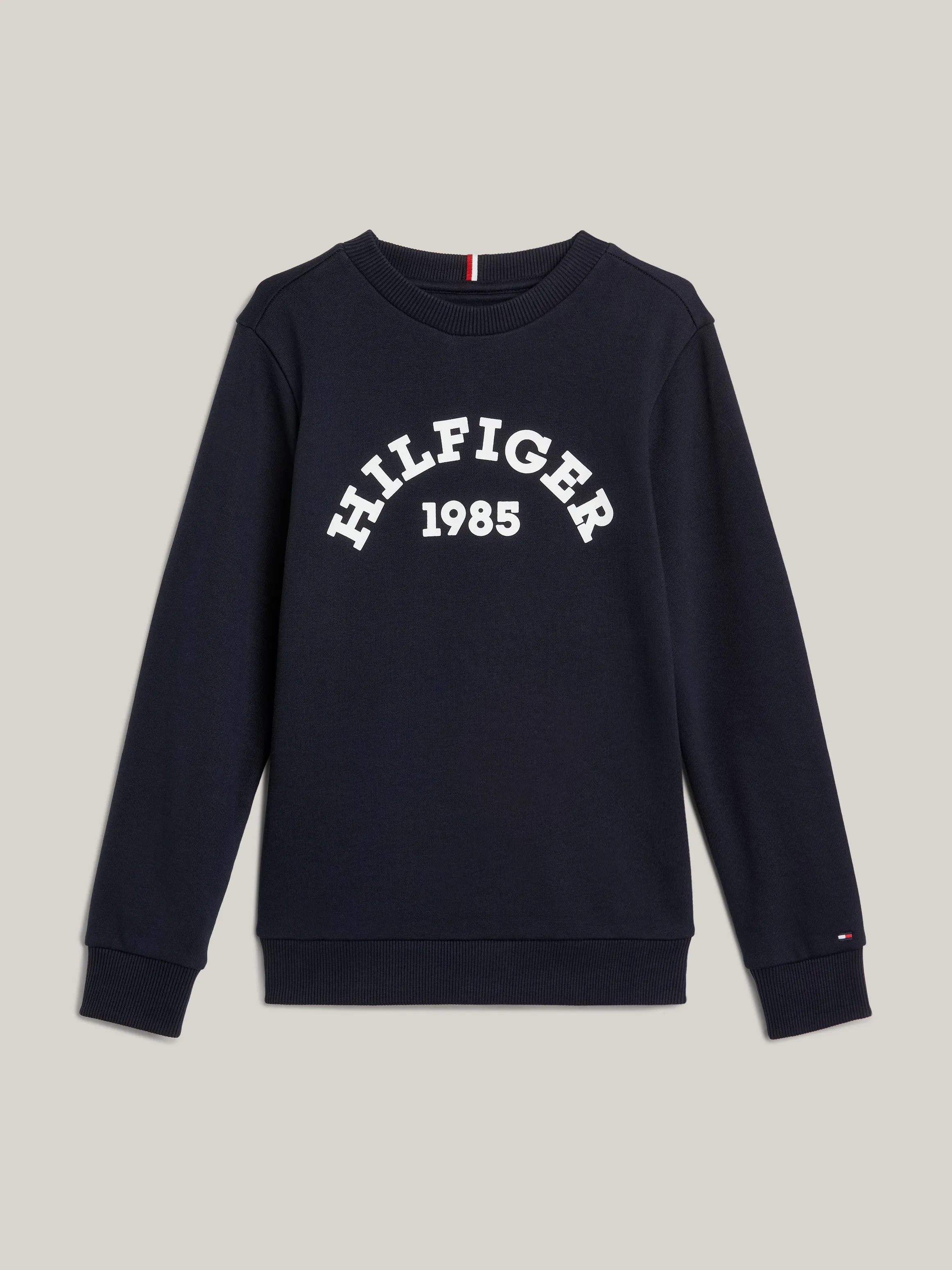 Boys 3-7 Hilfiger Monotype 1985 Collection Sweatshirt | Sweatshirts & Hoodies | Tommy Kids