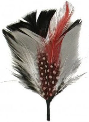 Feather