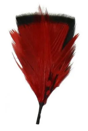 Feather